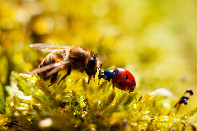 那些当兵的生活
