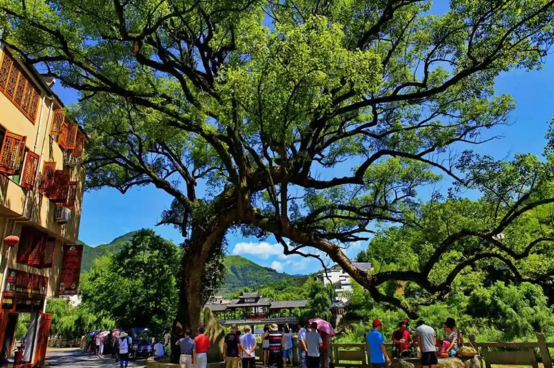 「宁德寿宁·梦龙天池」夏日避暑民宿，睡进湖光山色里