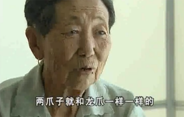 1934年营口河岸坠下一物，70年后老人捐献龙化石，龙真的存在吗？