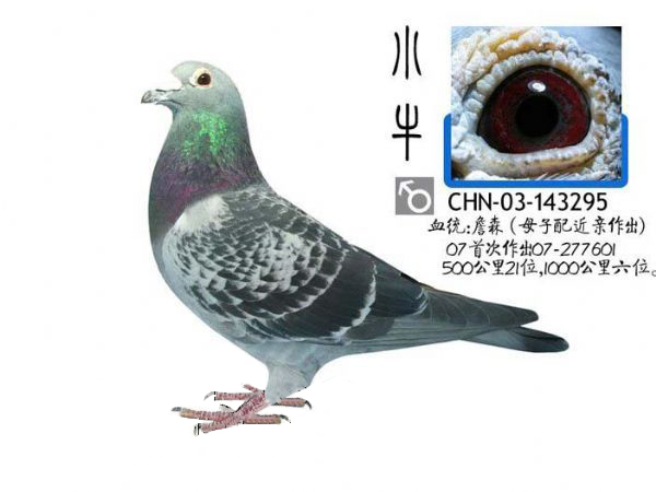 异色反目当优？