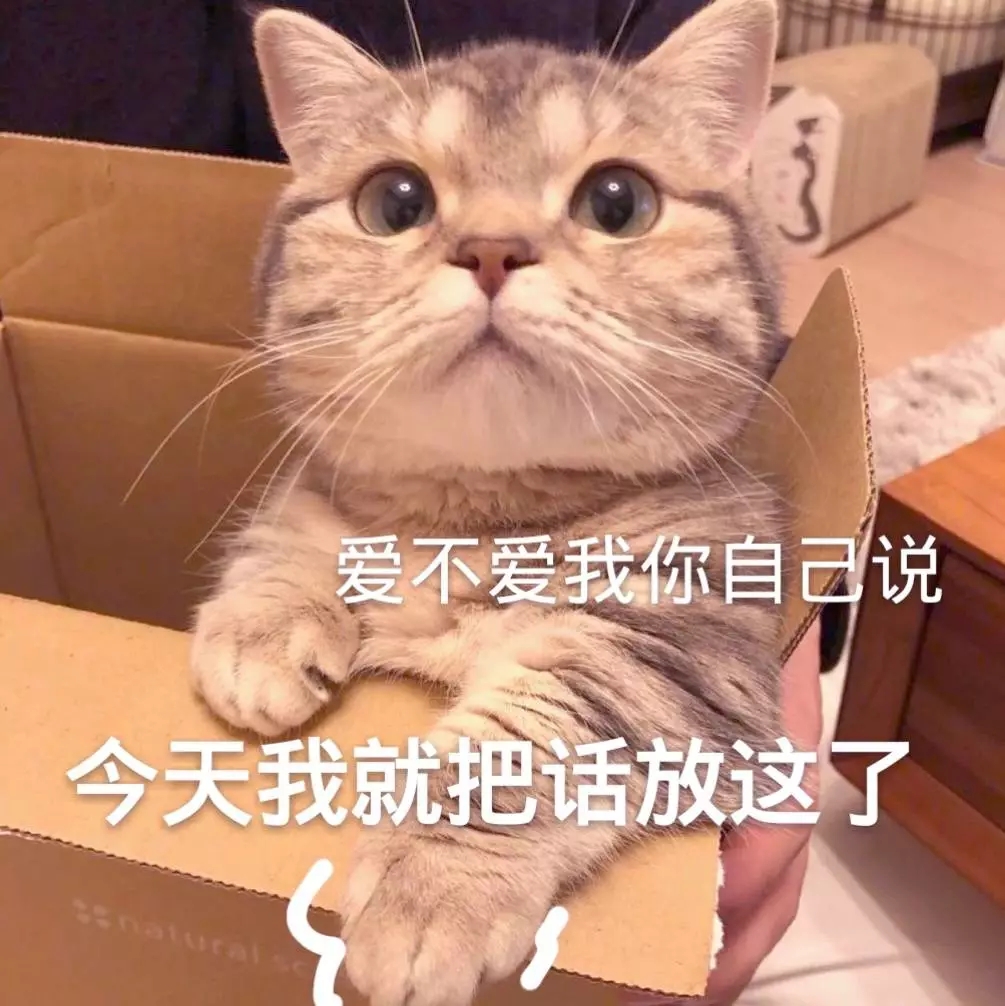 撒娇专用的猫咪表情包给你个机会偷亲我