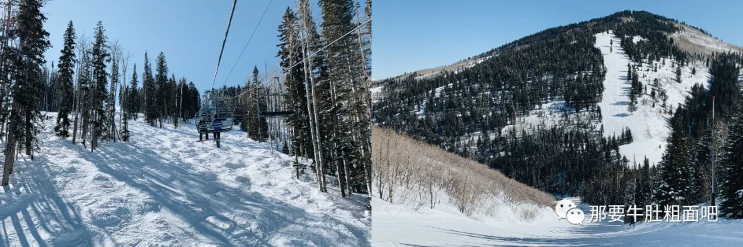 当大雪飞过那个小镇,我哪儿都不去 | 当我滑雪时我在想什么