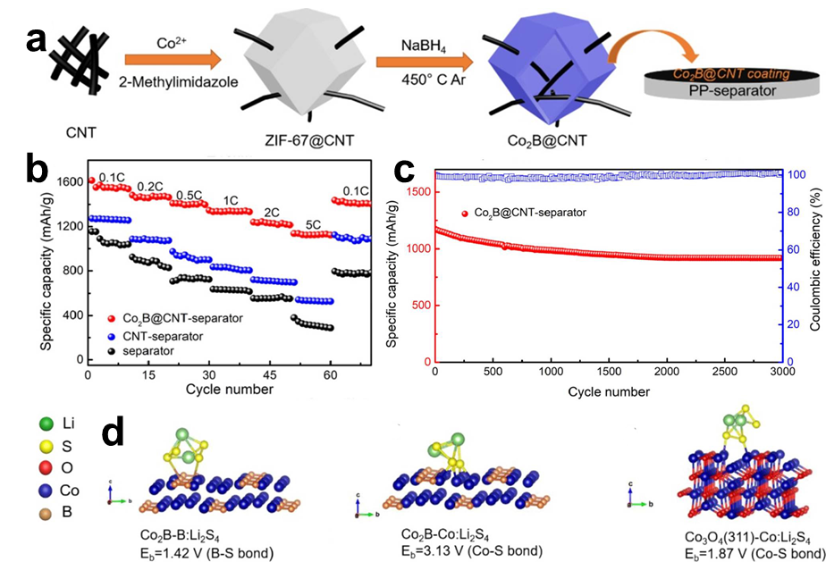 张亮教授&孙学良院士｜具有催化效应的功能性隔膜研究进展