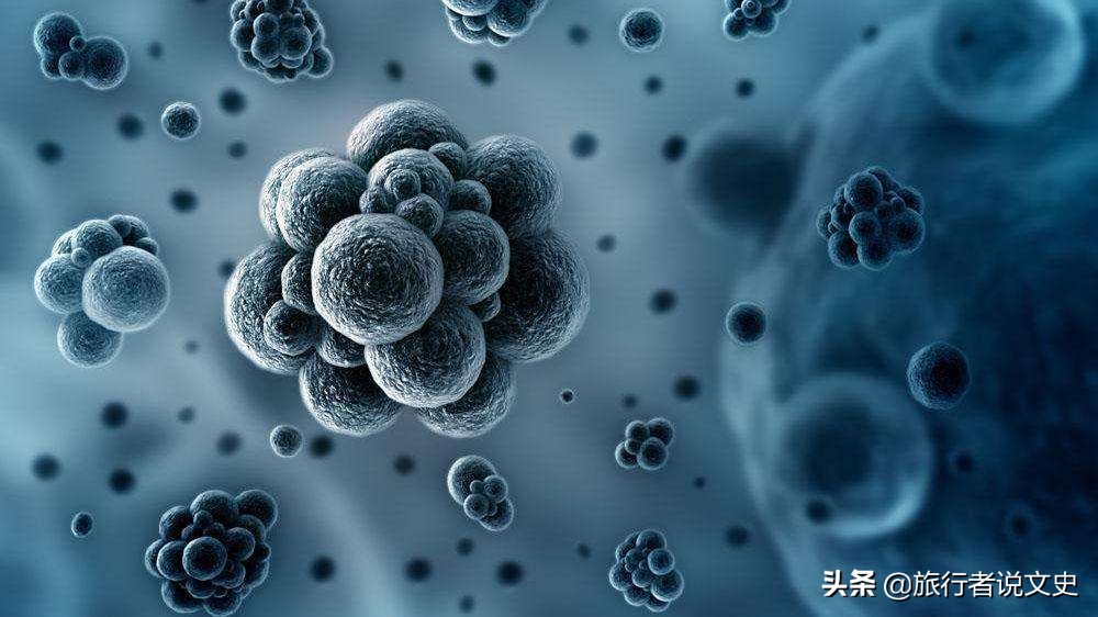 “天花”是如何被人类消灭的？