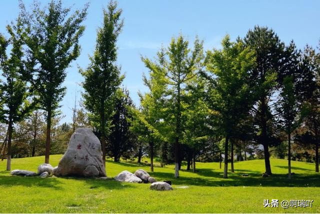 分数线丨兰州大学2019年在全国录取分数线！