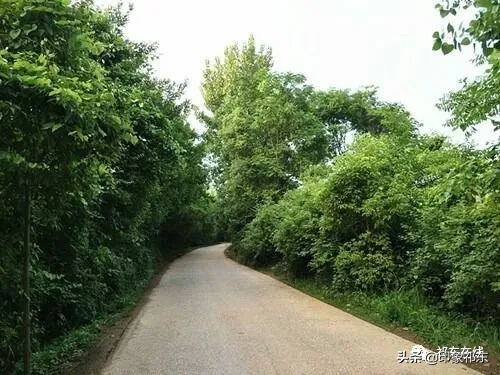 「家乡祁东」白地市记忆