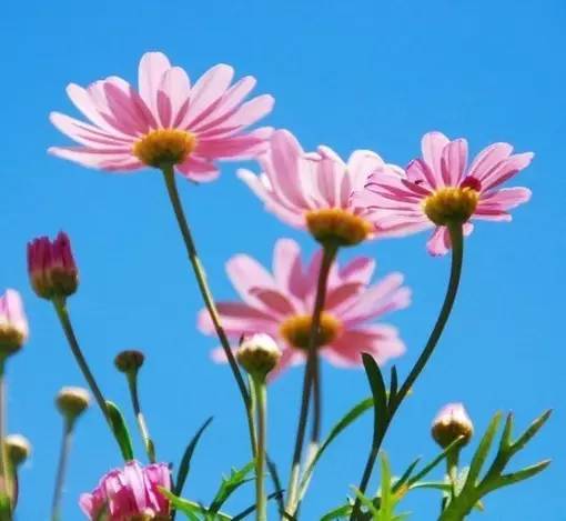 11首现代诗歌，静静的去聆听吧