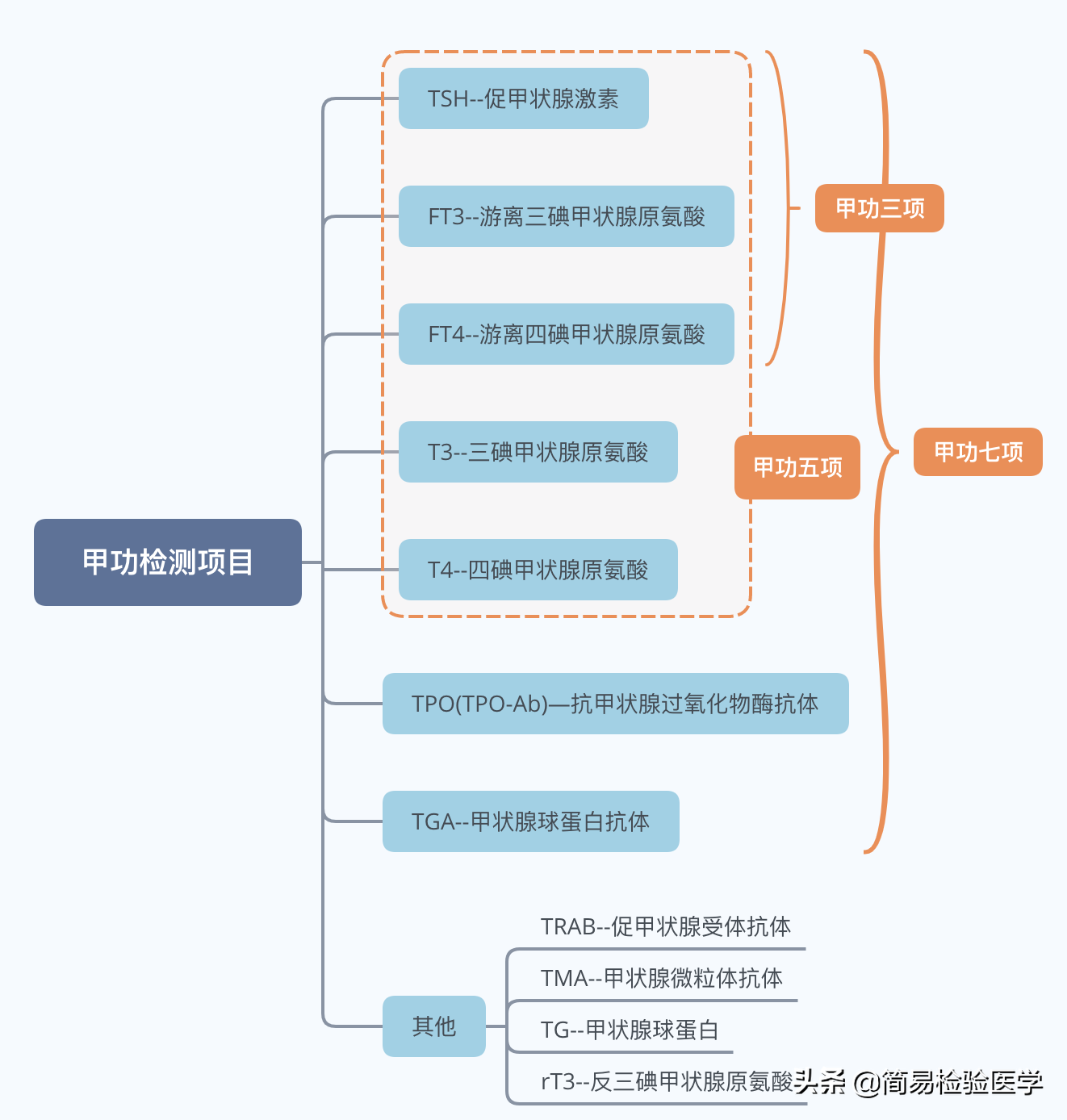 什么叫放免法甲功九项(轻松看懂甲状腺功能检测（思维导图 顺口溜）)