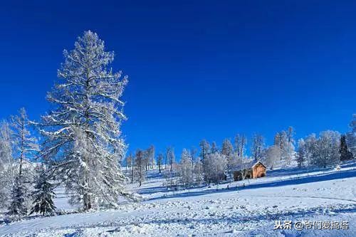 红墙，白雪，琉璃瓦，大雪压青松