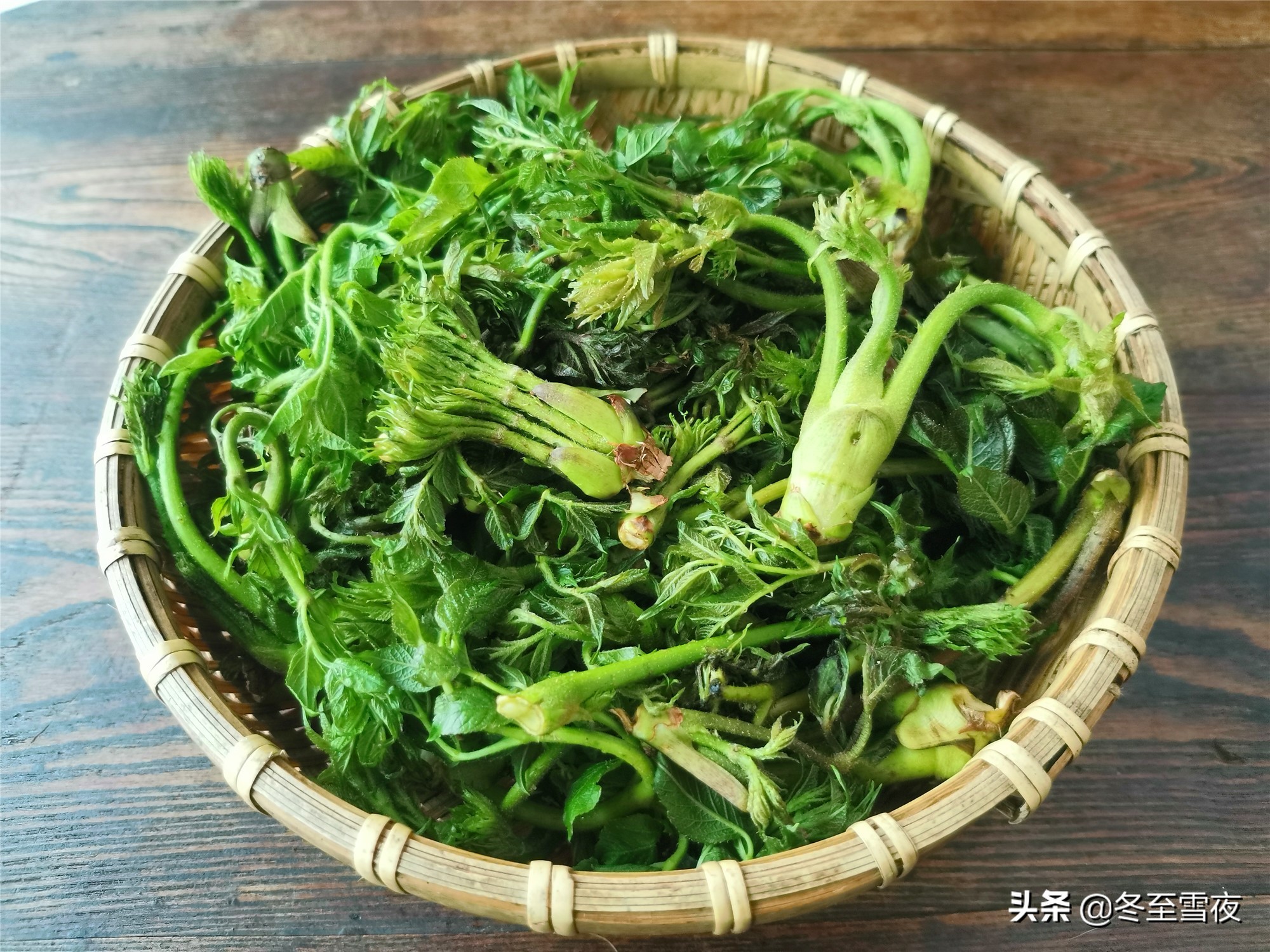 山野菜的做法,山野菜的做法大全