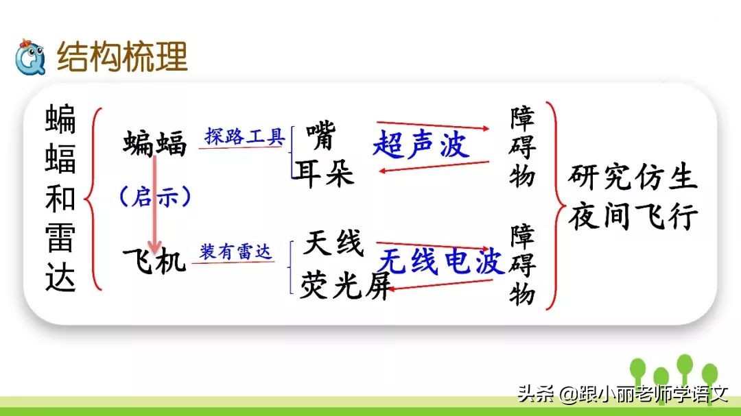 蝙蝠和雷达的名人名言
