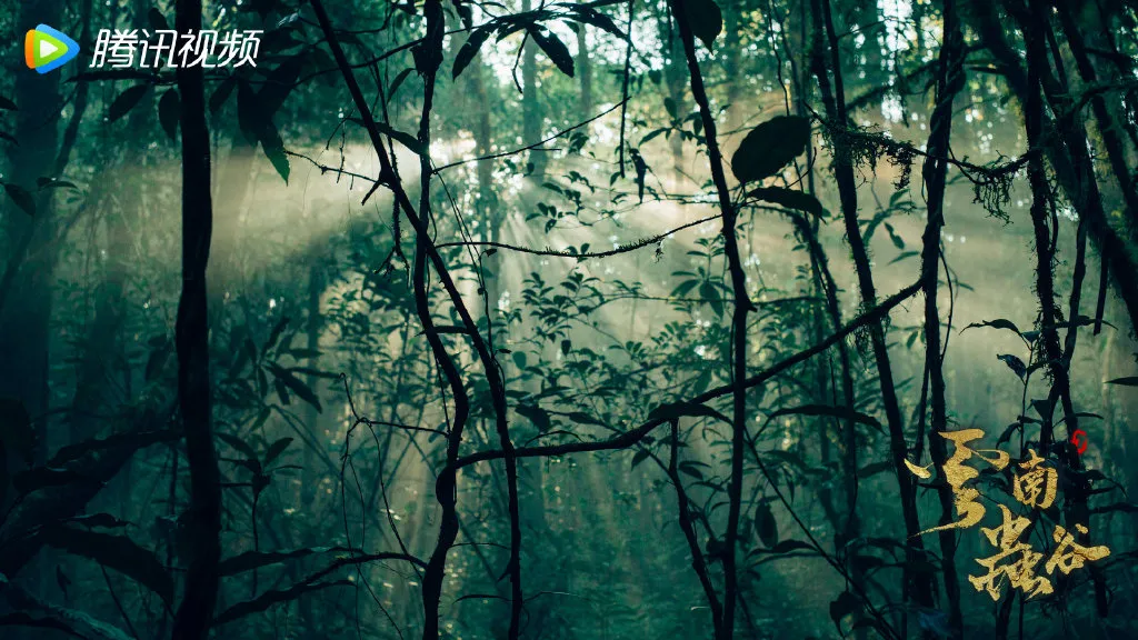 扛起“鬼吹灯”IP大旗,7印象的探险题材工业化之路