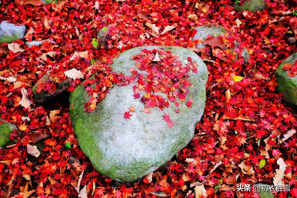 立冬节气古诗六首：寒色不遮万山翠，忽见桃花出小红