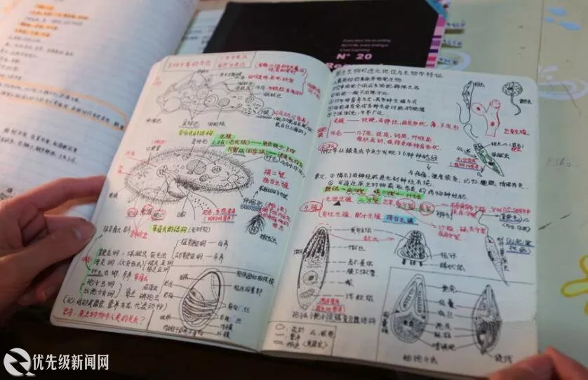 教案，我支持在教科书上写