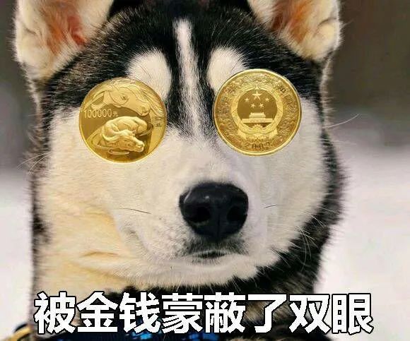 表情包：单身它不香吗，多自由多快乐