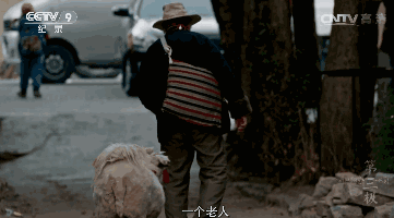 青藏高原，一片最值得向往的人间净土！｜自驾地理