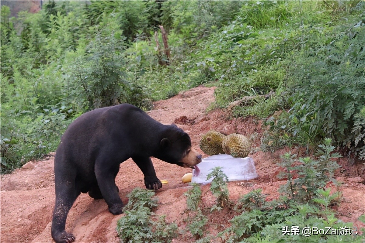 昆明有什么好玩的地方景点推荐，昆明必去的21个景点