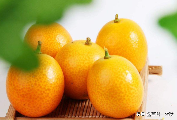 十大最好吃的橘子（柑子）介绍