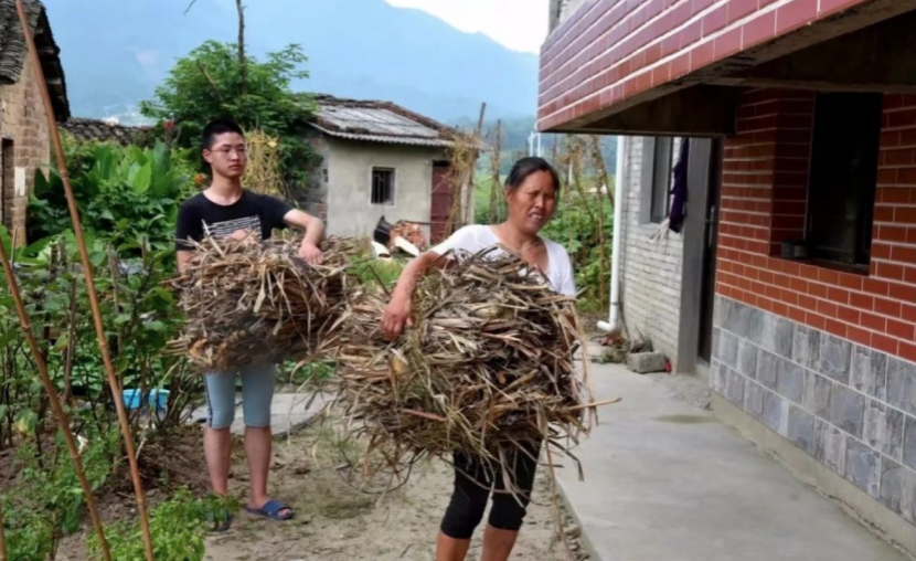 母亲双目失明，父亲单眼失明，自强不息的他以685分被清华录取