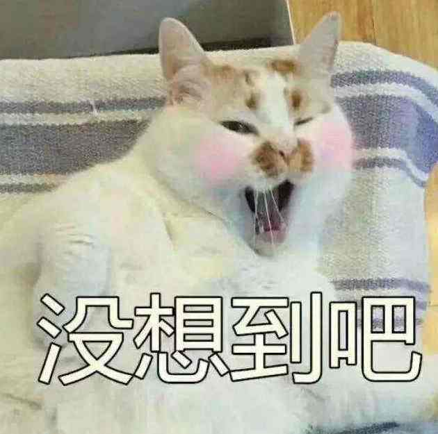 喵，读懂喵咪的语言——声音篇