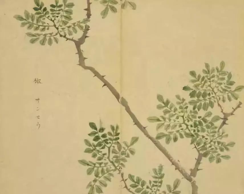 复沓的修辞手法作用（分享运用比兴以及复沓的手法的诗经）