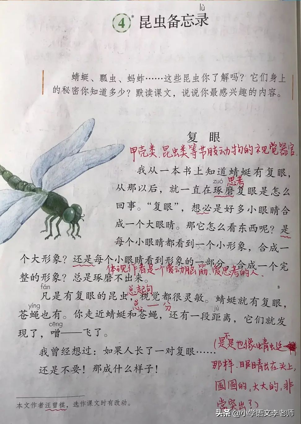 3的溜溜(三年级语文下册《昆虫备忘录》课文解读，课堂笔记整理详细)