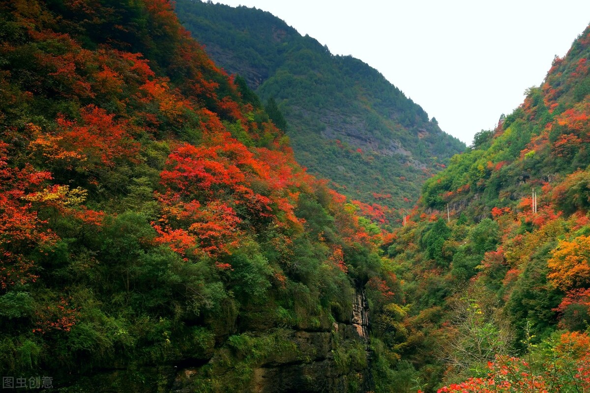 打卡绝美秦岭的一年四季，感受秦岭独有的浪漫插图27