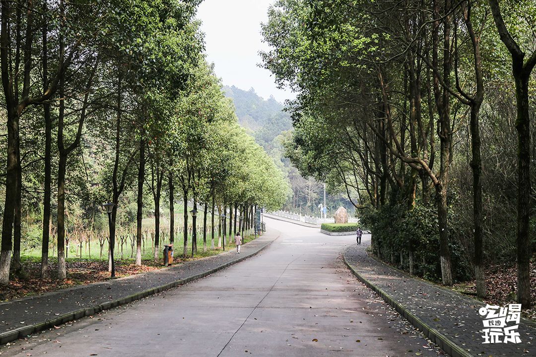 长大，不说再见！