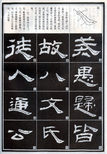 隶书入门基本笔画写法（零基础隶书的基本笔法）
