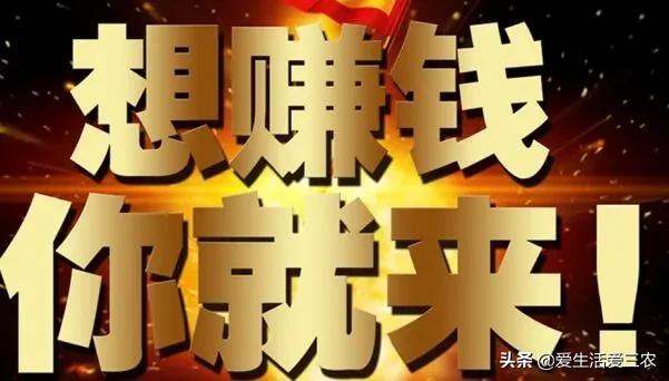 这些投资少、风险低的乡镇实体店，利润空间大，值得参考！