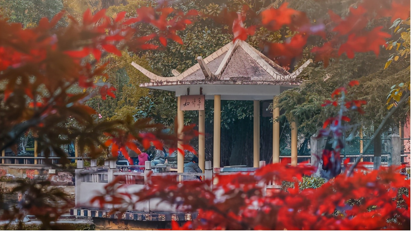 成都理工VS长沙理工，后者为何占优？交通加电力热度超地质学太多