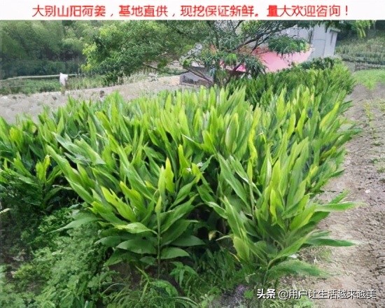 景德镇真是一个美丽的地方