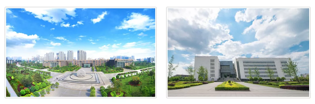 西华大学2020年人才招聘公告