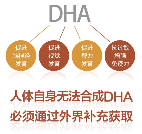 怀孕后多久可以补充DHA？不要错过这个时间，孕妈早知道