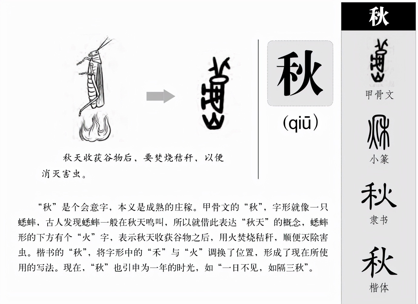 10个带秋字聪明机灵的宝宝名，你最喜欢哪一个？