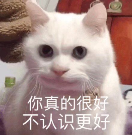 猫咪表情包合集｜我就是馋你的身子