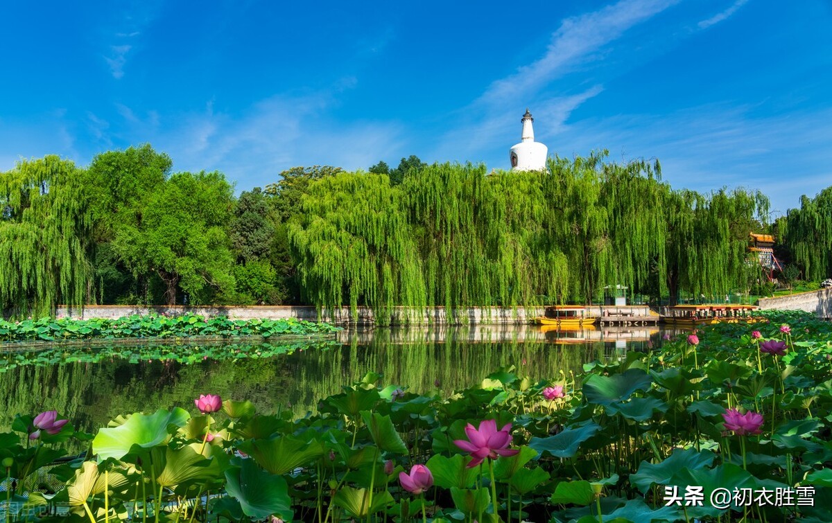 夏柳诗词七首，柳叶翻风罗带绿，柳丝和叶卧清流