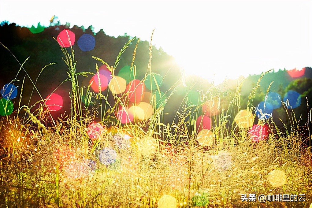 春天的故事，夏天的絮语，我们皆在十月的成熟静美里读懂