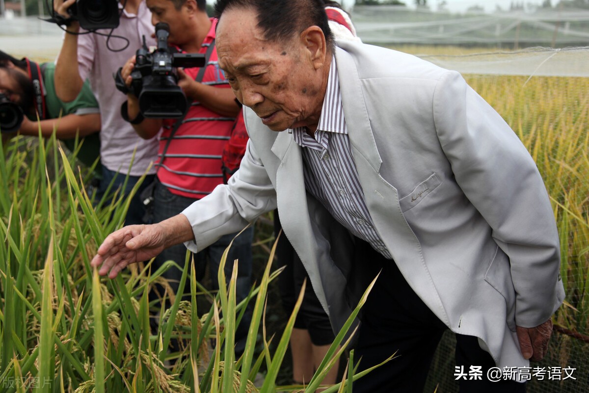 2021年高考作文最新押题出炉——袁隆平成功的秘诀