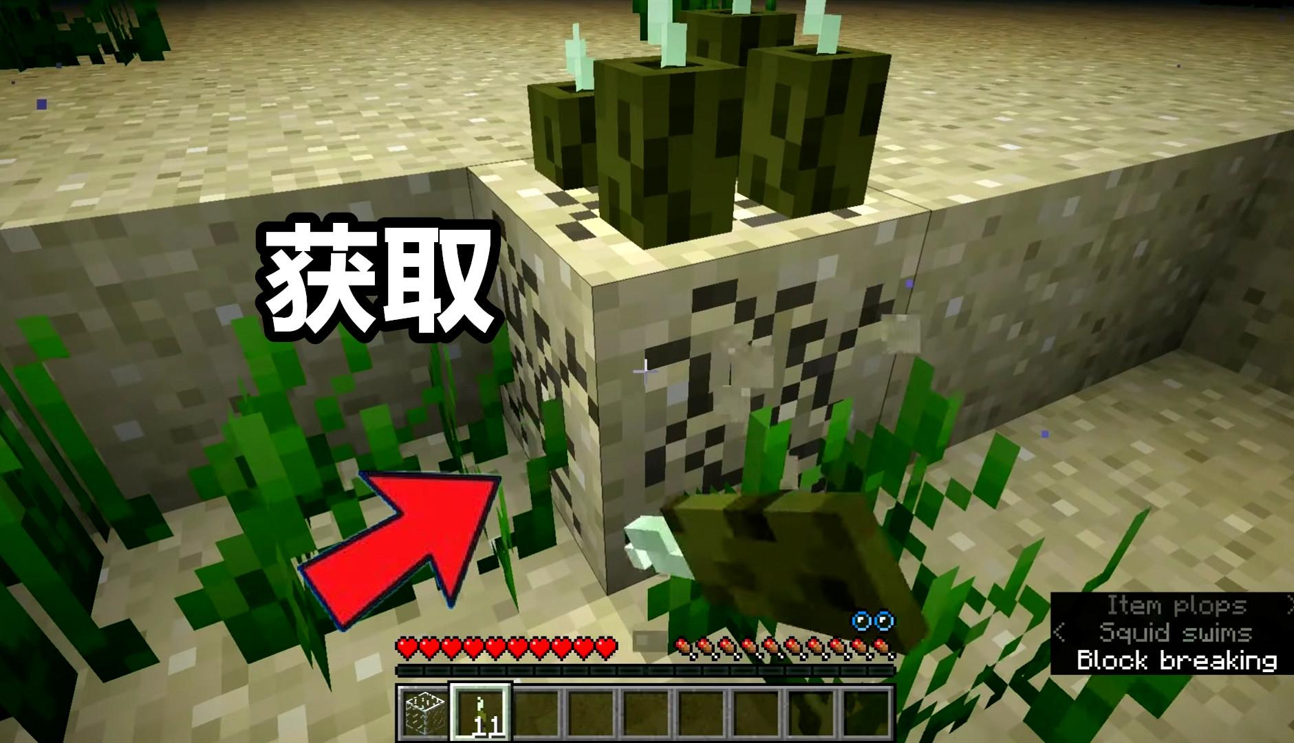 “水下火把”是什么梗？我的世界：海泡菜你可能不知道的12个事实