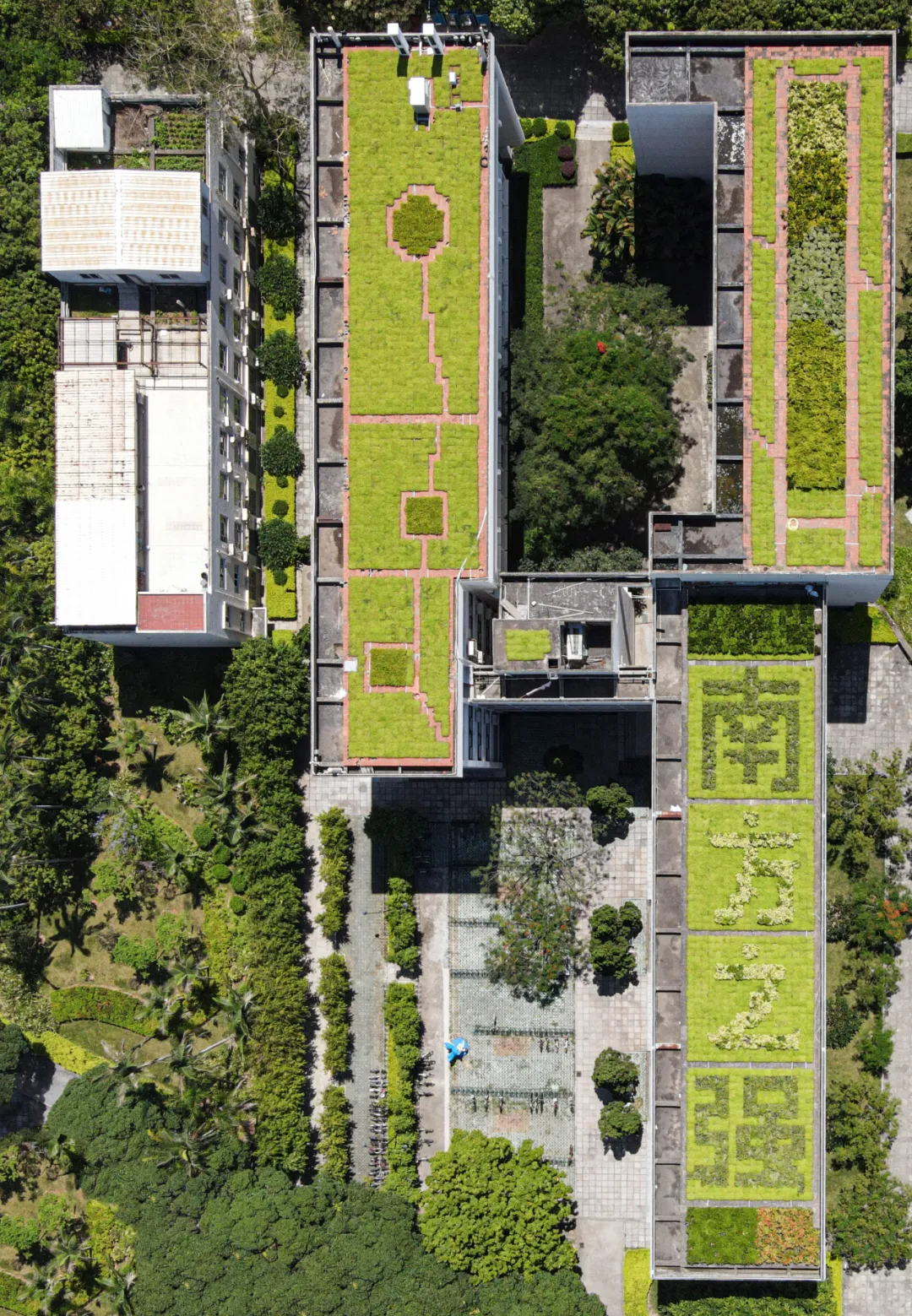 总书记亲致贺信！这座“最宠学生”的大学有多牛？