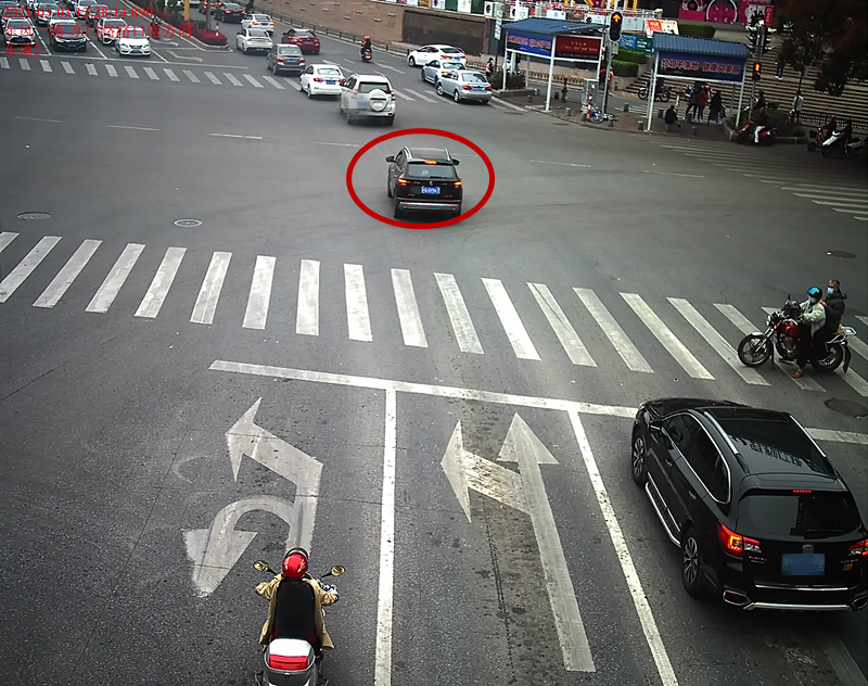 交通违法曝光！