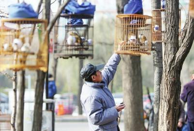 老祖宗：“钓鱼穷三年，玩鸟毁一生”，真正的含义你懂吗？