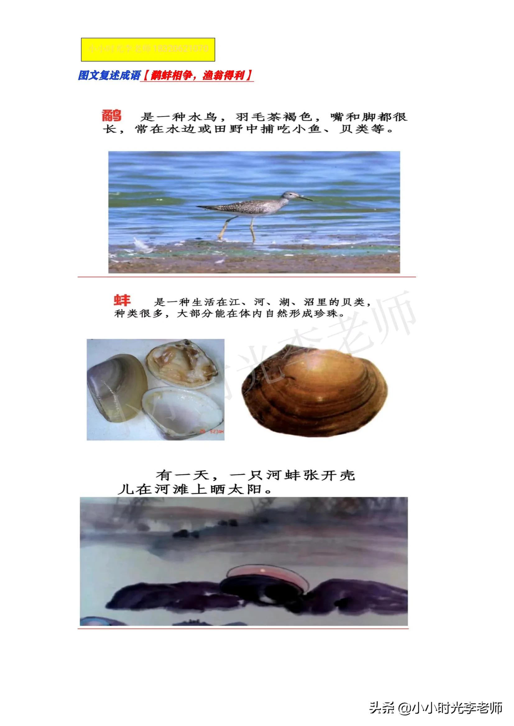 小学文言文必学积累（共26篇）第十四篇：《鹬蚌相争、渔翁得利》