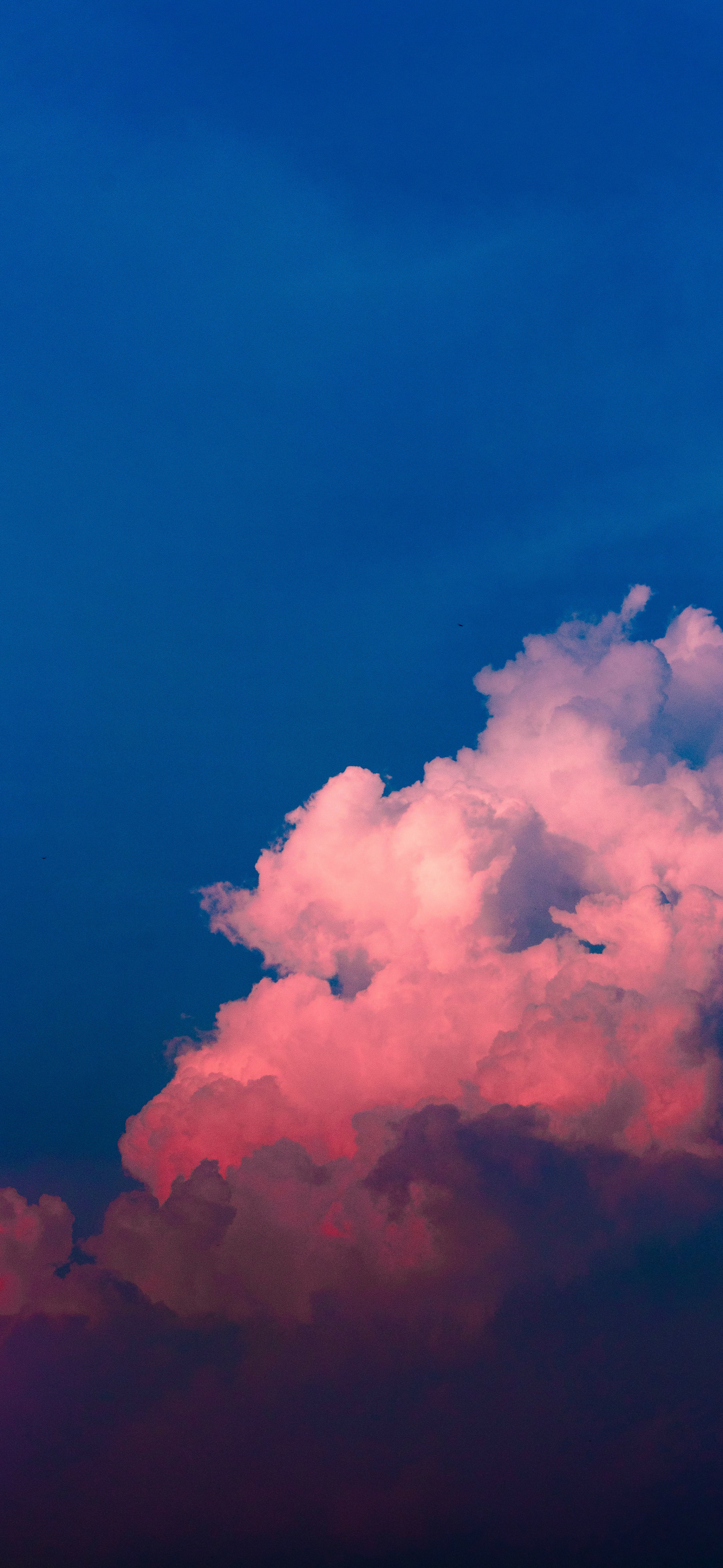 壁纸丨无拘无束的云和奔跑时卷起的云