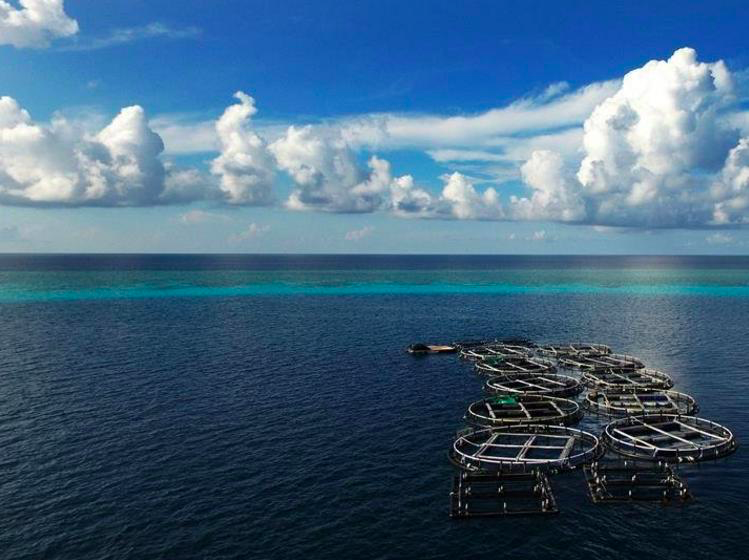 高考分数23日可查！专业志愿填报，除了冷热门，新专业也有强与弱