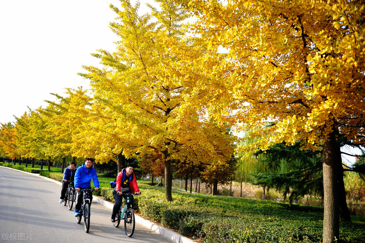 山东科技大学青岛校区（山东一所高校迎来新校区）