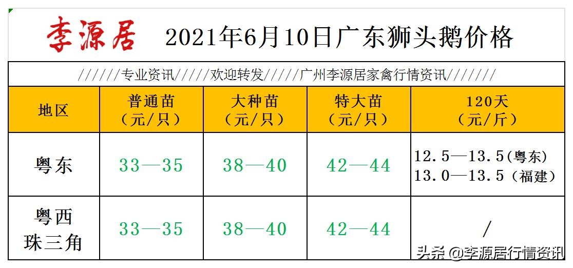 广东鹅价降价06月10日（马冈鹅苗 阳江杂鹅 大白沙鹅苗 狮头鹅）