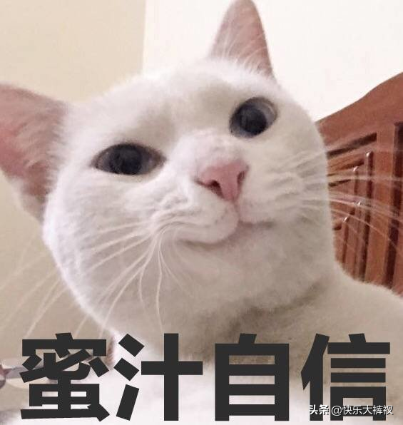 误删了聊天记录，支付账单，想要恢复，怎么办？