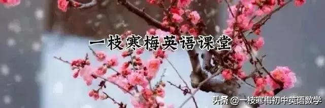 烟的英语表达及高考核心词汇解析
